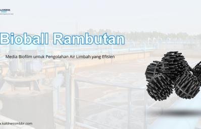 Bioball Rambutan